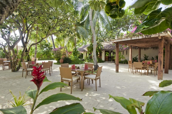 Island Coffee Shop